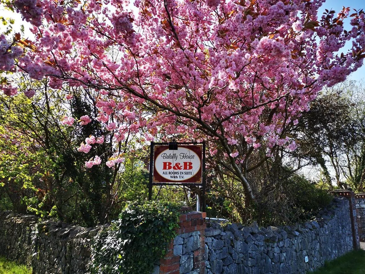 Bed & Breakfast Balally House Shannon