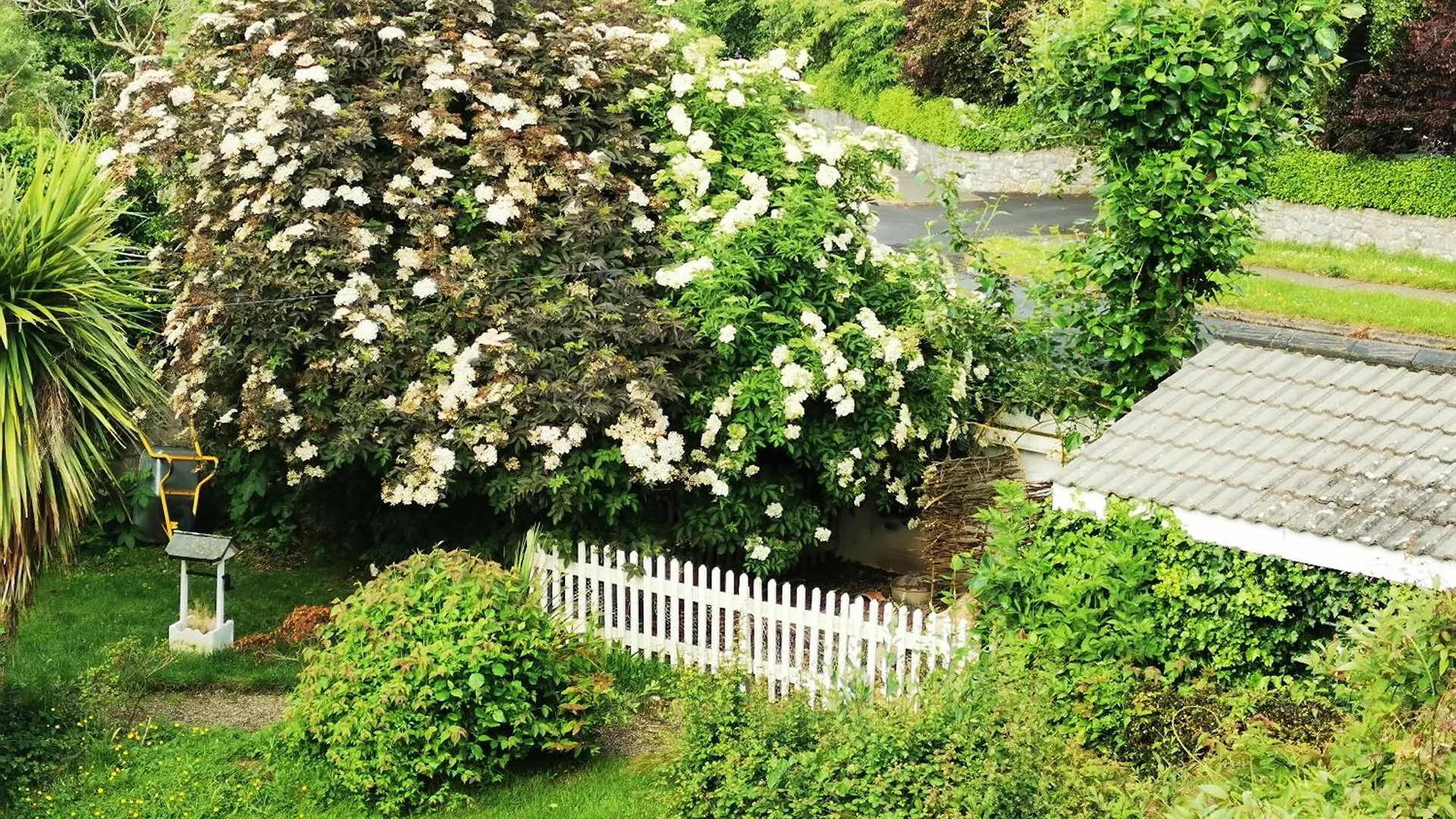 Balally House Shannon Bed & Breakfast